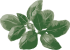small image
